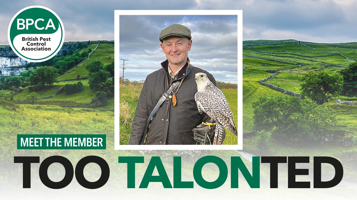 talonted hero talonted hero